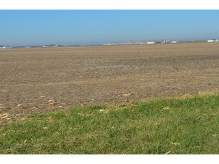 Tract 2 - FARMLAND AUCTION - 165.5+/- ACRES OFFERED IN 5 TRACTS OR COMBINATIONS IN EAST ALLEN COUNTY